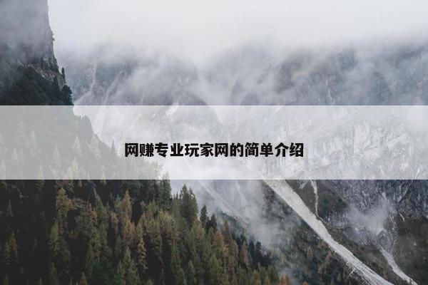 网赚专业玩家网的简单介绍