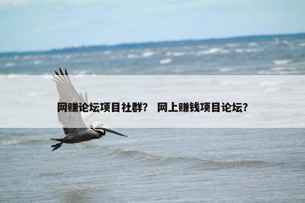 网赚论坛项目社群？ 网上赚钱项目论坛？