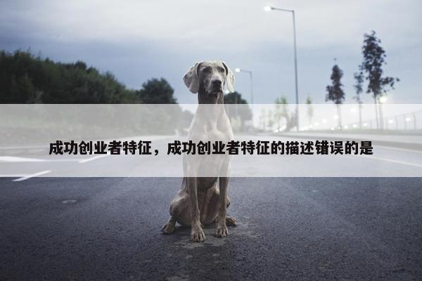 成功创业者特征，成功创业者特征的描述错误的是