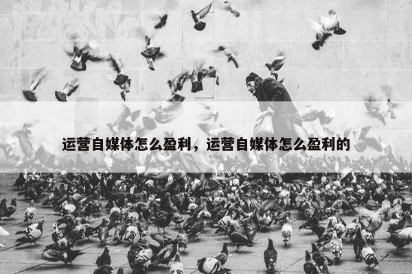 运营自媒体怎么盈利，运营自媒体怎么盈利的