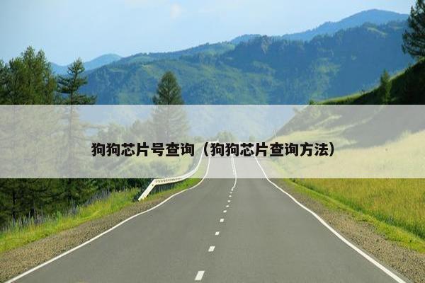 狗狗芯片号查询（狗狗芯片查询方法）
