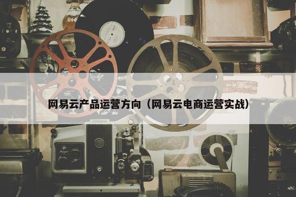 网易云产品运营方向（网易云电商运营实战）
