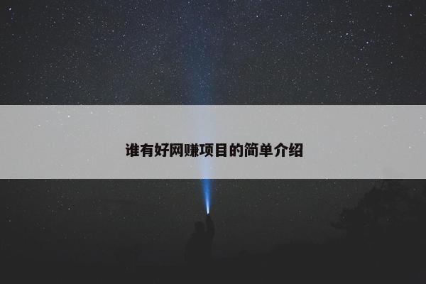 谁有好网赚项目的简单介绍