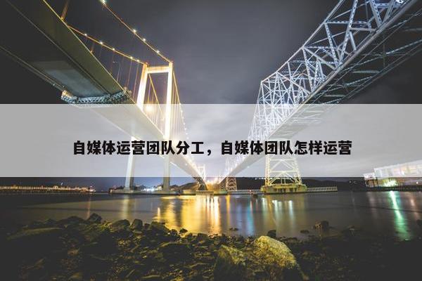 自媒体运营团队分工，自媒体团队怎样运营