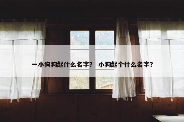 一小狗狗起什么名字？ 小狗起个什么名字？