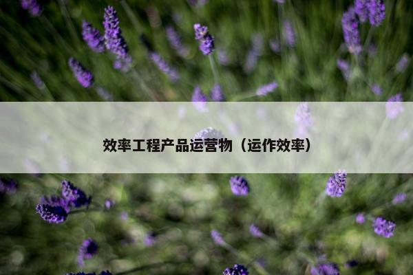 效率工程产品运营物（运作效率）