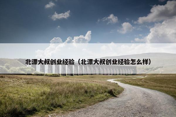 北漂大叔创业经验（北漂大叔创业经验怎么样）