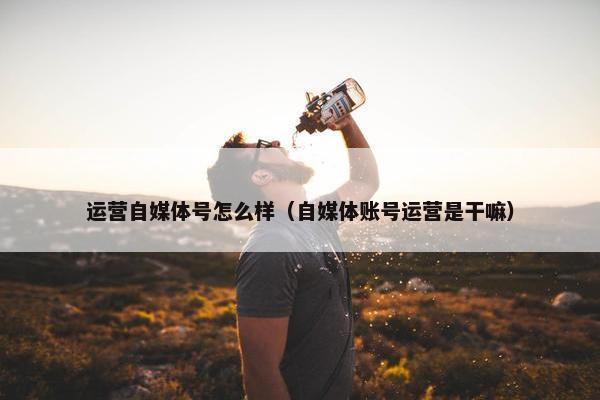运营自媒体号怎么样（自媒体账号运营是干嘛）