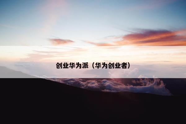 创业华为派（华为创业者）