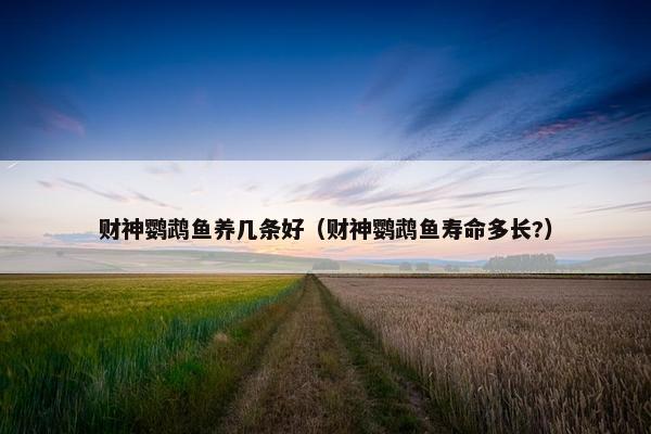 财神鹦鹉鱼养几条好（财神鹦鹉鱼寿命多长?）