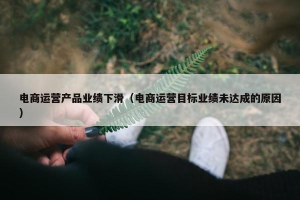 电商运营产品业绩下滑（电商运营目标业绩未达成的原因）