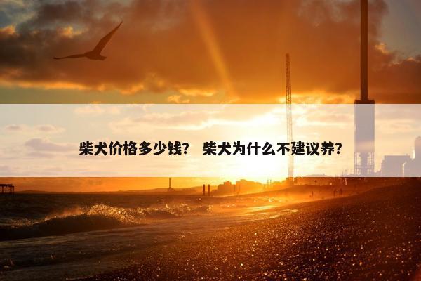 柴犬价格多少钱？ 柴犬为什么不建议养？