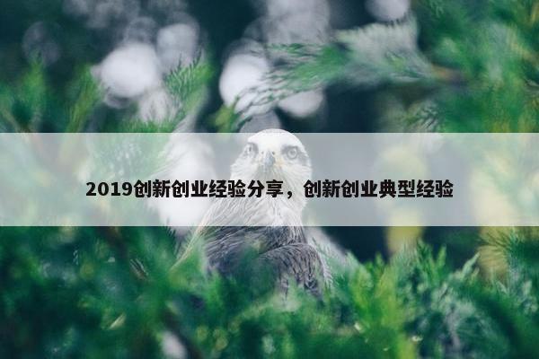2019创新创业经验分享，创新创业典型经验
