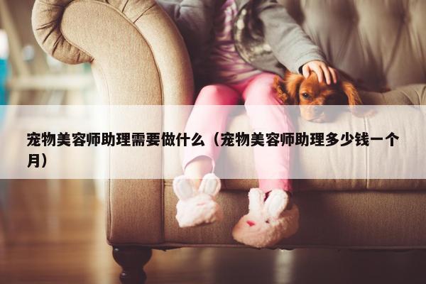 宠物美容师助理需要做什么（宠物美容师助理多少钱一个月）