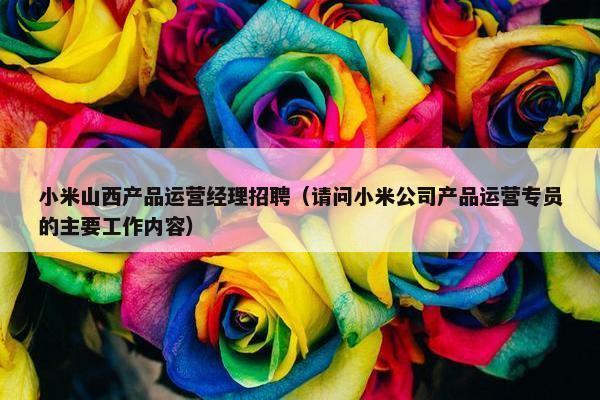 小米山西产品运营经理招聘（请问小米公司产品运营专员的主要工作内容）