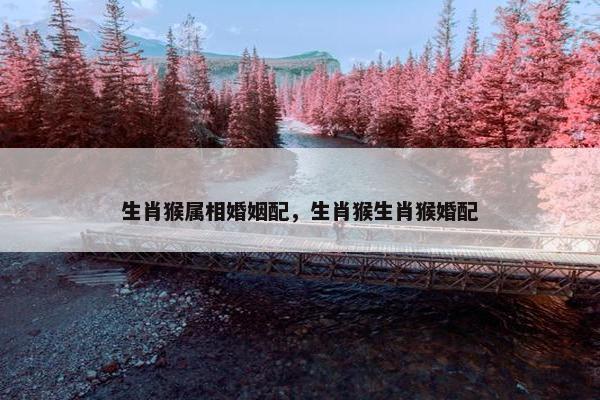 生肖猴属相婚姻配，生肖猴生肖猴婚配