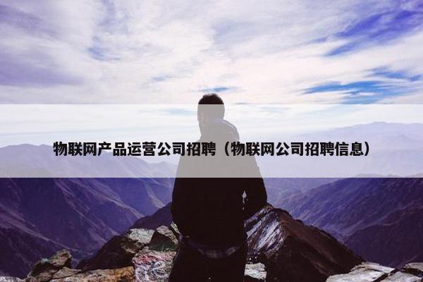 物联网产品运营公司招聘（物联网公司招聘信息）
