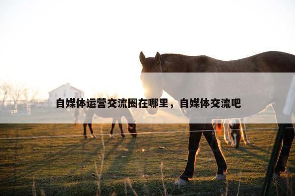 自媒体运营交流圈在哪里，自媒体交流吧