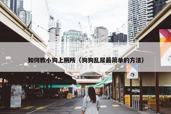 如何教小狗上厕所（狗狗乱尿最简单的方法）
