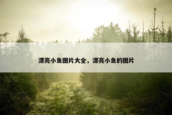 漂亮小鱼图片大全，漂亮小鱼的图片