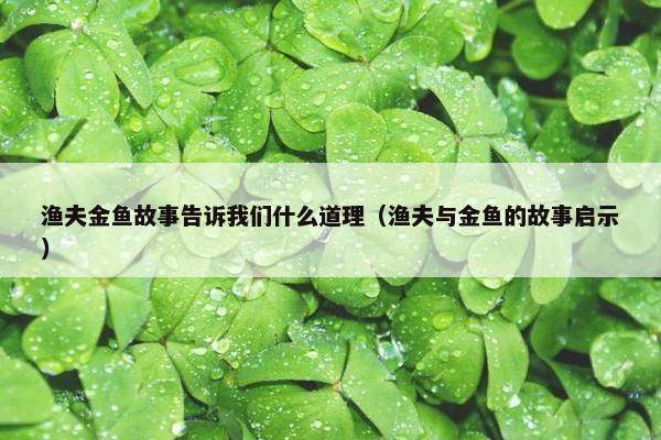 渔夫金鱼故事告诉我们什么道理（渔夫与金鱼的故事启示）