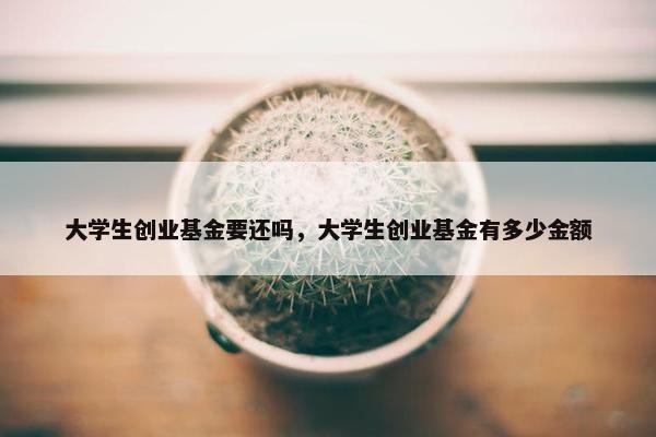 大学生创业基金要还吗，大学生创业基金有多少金额