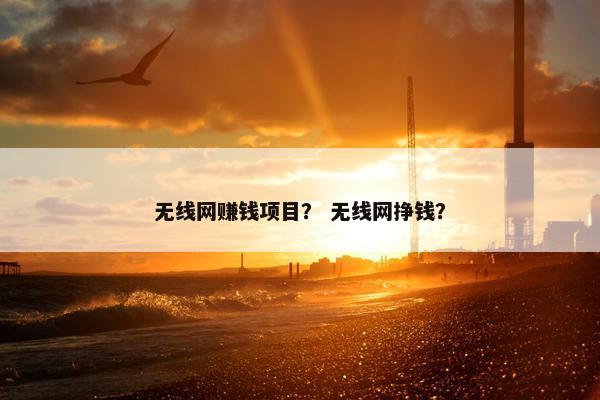 无线网赚钱项目？ 无线网挣钱？