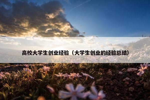 高校大学生创业经验（大学生创业的经验总结）