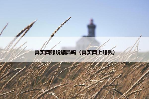 真实网赚玩骗局吗（真实网上赚钱）