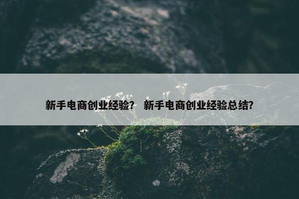 新手电商创业经验？ 新手电商创业经验总结？