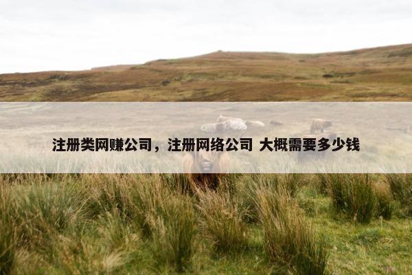 注册类网赚公司，注册网络公司 大概需要多少钱