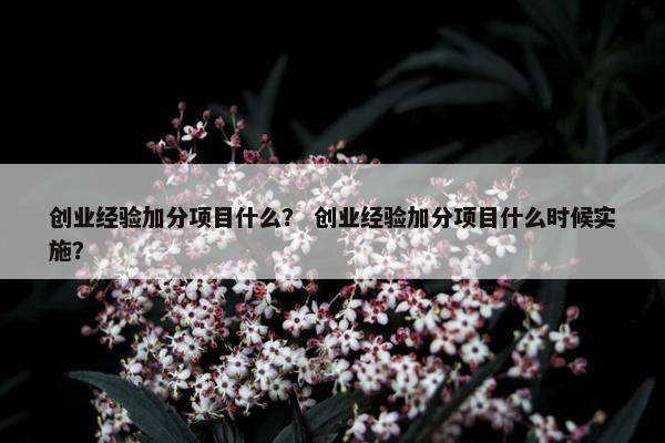 创业经验加分项目什么？ 创业经验加分项目什么时候实施？