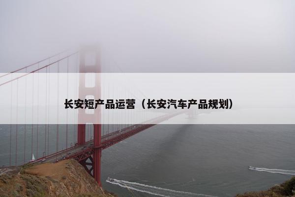 长安短产品运营（长安汽车产品规划）