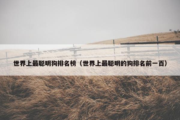 世界上最聪明狗排名榜（世界上最聪明的狗排名前一百）