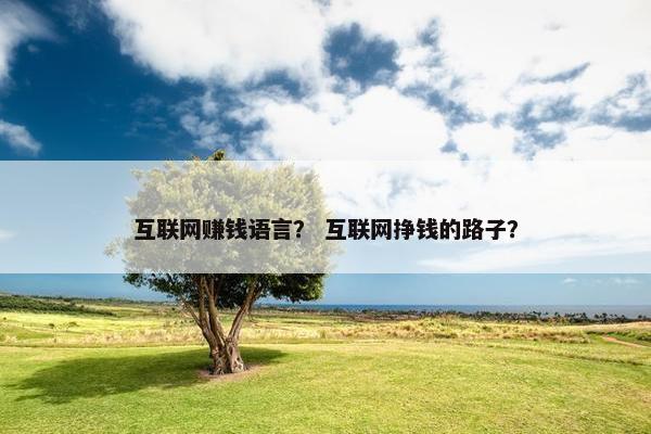 互联网赚钱语言？ 互联网挣钱的路子？