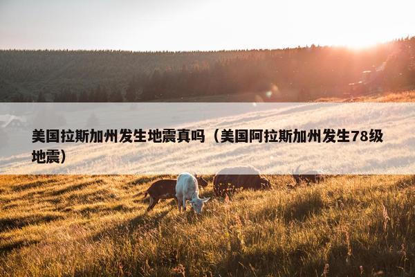 美国拉斯加州发生地震真吗（美国阿拉斯加州发生78级地震）