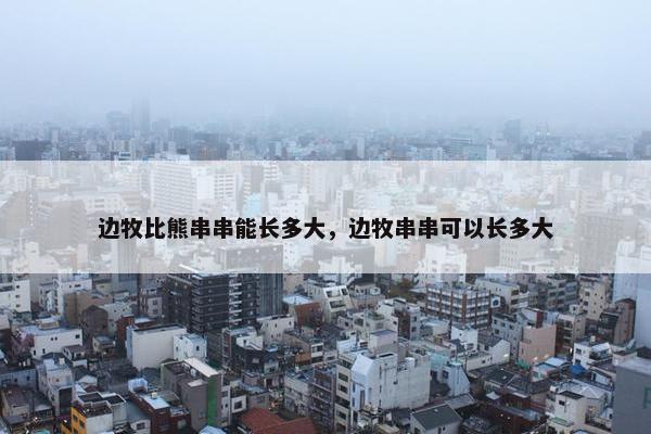 边牧比熊串串能长多大，边牧串串可以长多大