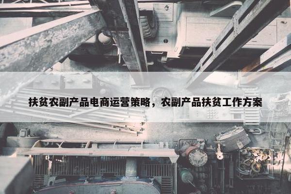 扶贫农副产品电商运营策略，农副产品扶贫工作方案