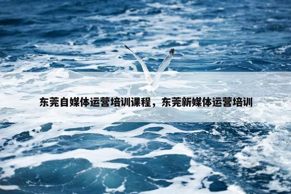 东莞自媒体运营培训课程，东莞新媒体运营培训