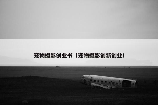 宠物摄影创业书（宠物摄影创新创业）