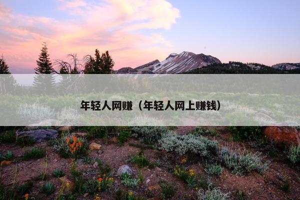 年轻人网赚（年轻人网上赚钱）