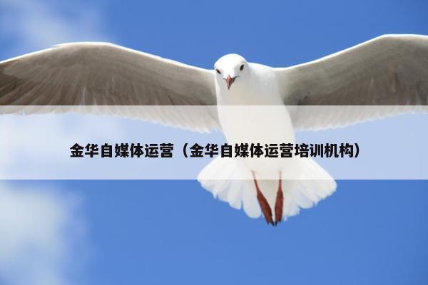 金华自媒体运营（金华自媒体运营培训机构）