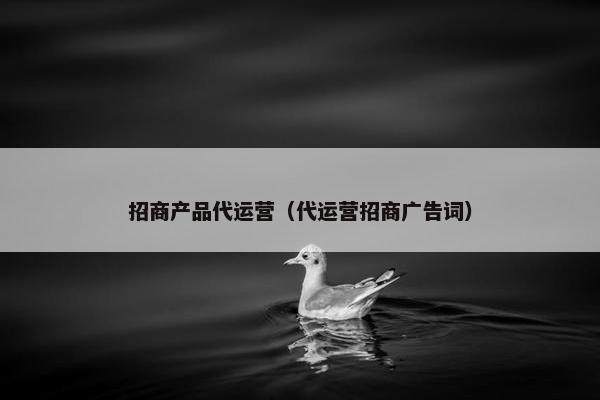 招商产品代运营（代运营招商广告词）