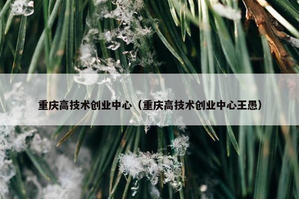 重庆高技术创业中心（重庆高技术创业中心王愚）
