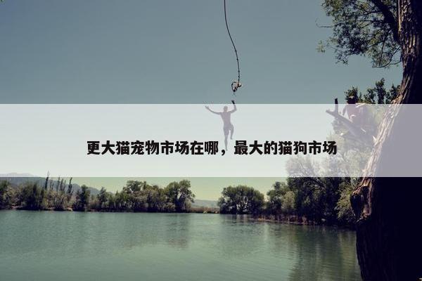 更大猫宠物市场在哪，最大的猫狗市场