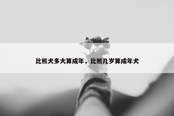 比熊犬多大算成年，比熊几岁算成年犬