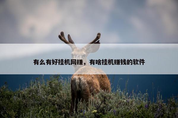 有么有好挂机网赚，有啥挂机赚钱的软件