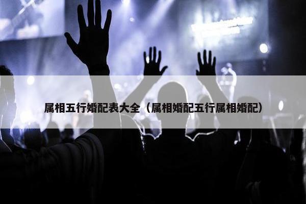 属相五行婚配表大全（属相婚配五行属相婚配）