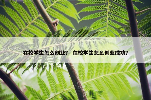 在校学生怎么创业？ 在校学生怎么创业成功？