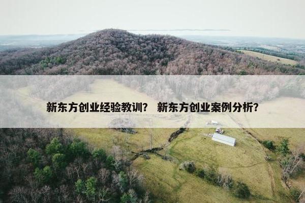新东方创业经验教训？ 新东方创业案例分析？